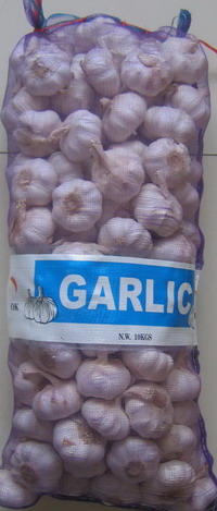 大蒜garlic